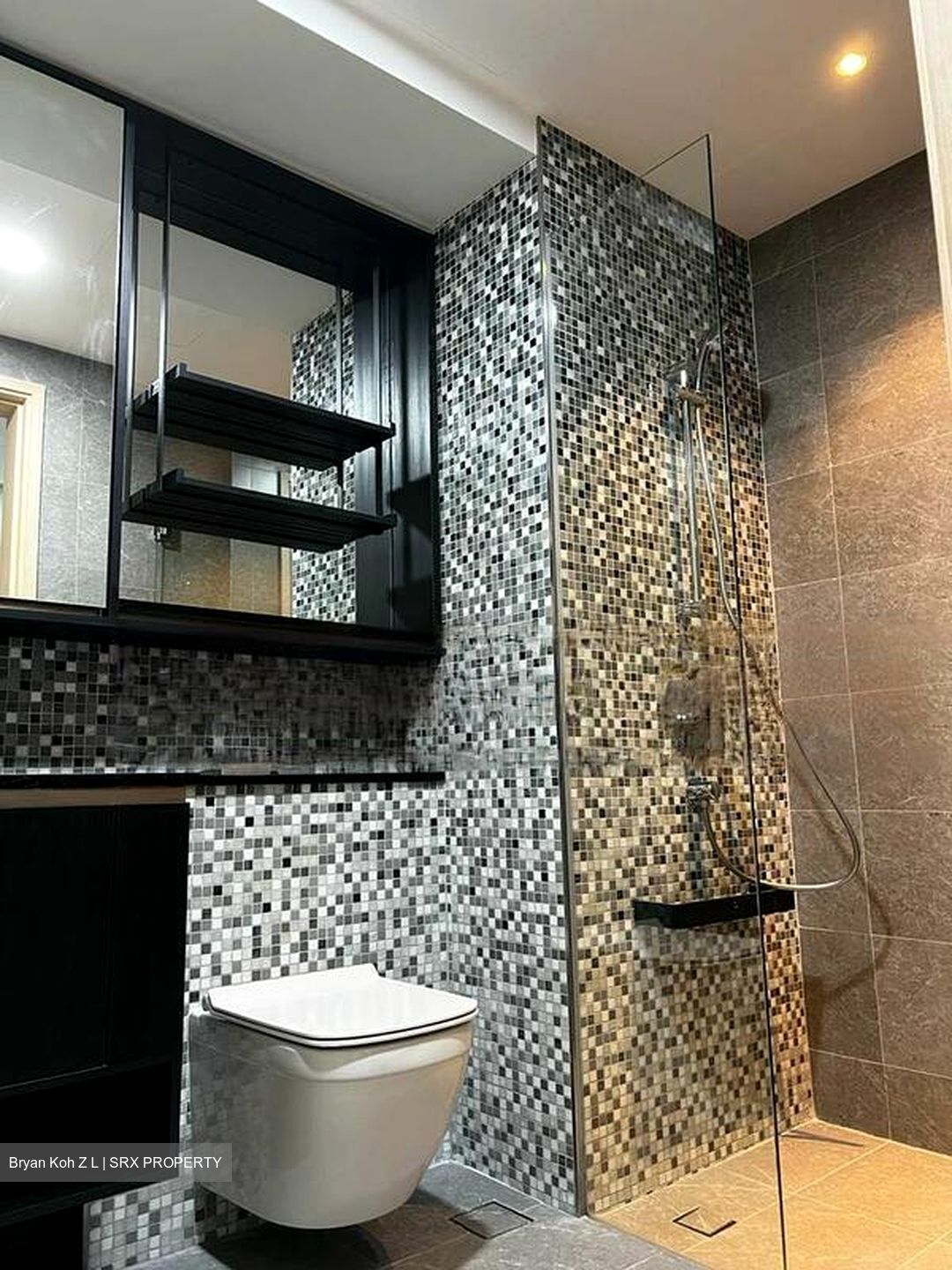 The Antares (D14), Apartment #464274211